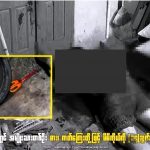 缅甸一男子接连捅自己14刀，自杀身亡-世界杯足球-世界杯赛事-足球策略网