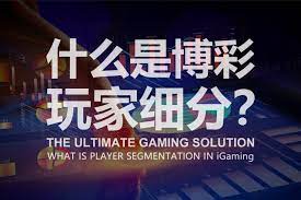 如何制定个人的21点投注计划？掌握策略，赢在智慧-世界杯足球-世界杯赛事-足球策略网